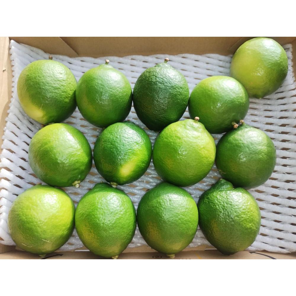 【ふるさと納税】爽やか一番!!　【夏のヨロン翠ライム】（1kg：10～15個入り）　 | フルーツ 果物 くだもの 食品 人気 おすすめ 送料無料