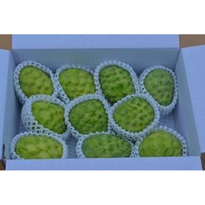 【ふるさと納税】アテモヤ （2kg） | アテモヤ フルーツ 果物 数量限定 期間限定 人気 おすすめ ご当地 グルメ 果物 糖度２０度以上 森のアイスクリーム 与論島 ヨロン 与論町