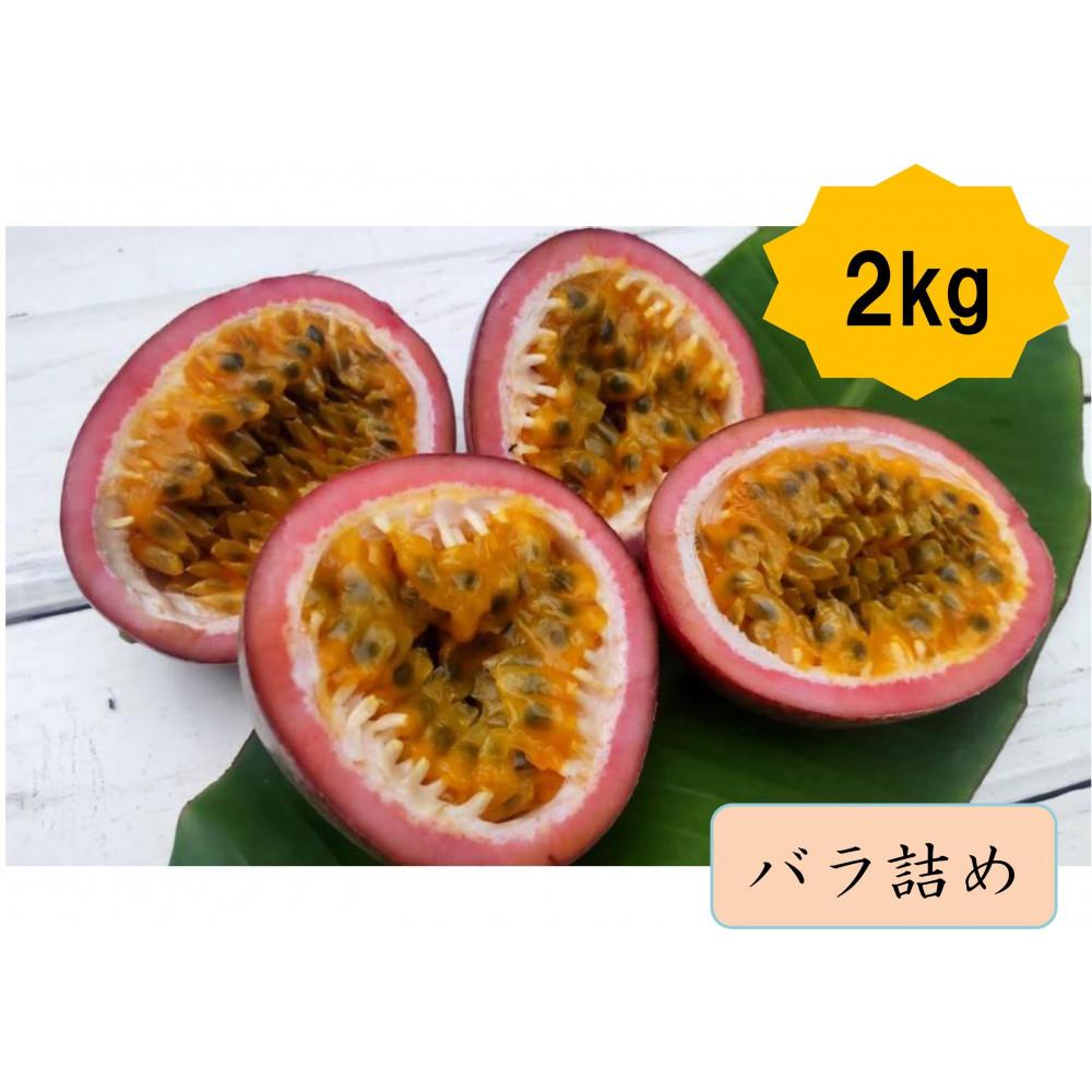 【ふるさと納税】【2025年夏発送】パッションフルーツ (2kg24個入りバラ詰) 2025年6月～出荷開始 リリコイ 南国フルーツ デザート 人気 鹿児島県  与論町　 | フルーツ 果物 食品 人気 おすすめ 送料無料