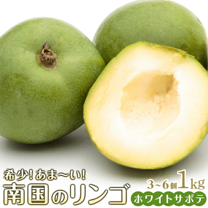 【ふるさと納税】希少！あま～い南国のリンゴ【ホワイトサポテ】1kg（3～6個）
