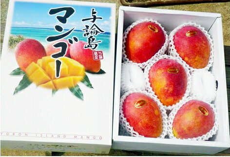 本店は 楽天市場 ふるさと納税 21年7月発送 平均糖度13度以上 アップルマンゴー2kg 4 5玉 ふるさと 納税 支援 鹿児島 鹿児島県 与論島 与論町 与論 マンゴー まんごー 果物 くだもの 旬 フルーツ お取り寄せグルメ お取り寄せ お土産 返礼品 特産品