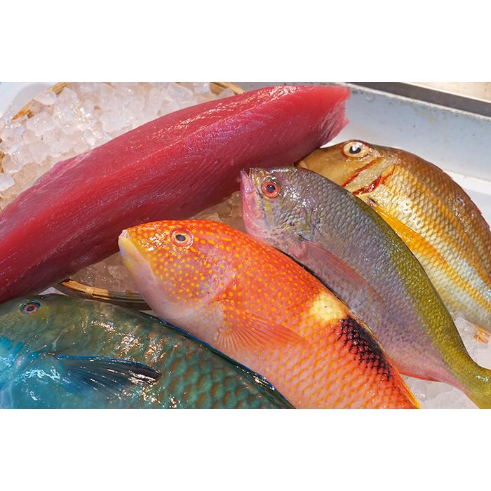 【ふるさと納税】【泊漁港直送】 沖縄美ら海まぐろと旬の沖縄鮮魚セット | 沖縄 那覇市 魚貝類 魚介類 人気 海鮮 海 魚 お魚 さかな 市場 海鮮セット