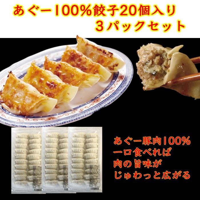 輝い 沖縄そばセットあぐー100％餃子 2パックセット 沖縄 那覇 沖縄県 那覇市 ふるさと 納税 支援 支援品 返礼品 返礼 お礼の品 沖縄土産 沖縄お土産  お土産 おみやげ 取り寄せ お取り寄せ グルメ お取り寄せグルメ ご当地 ご当地グルメ fucoa.cl