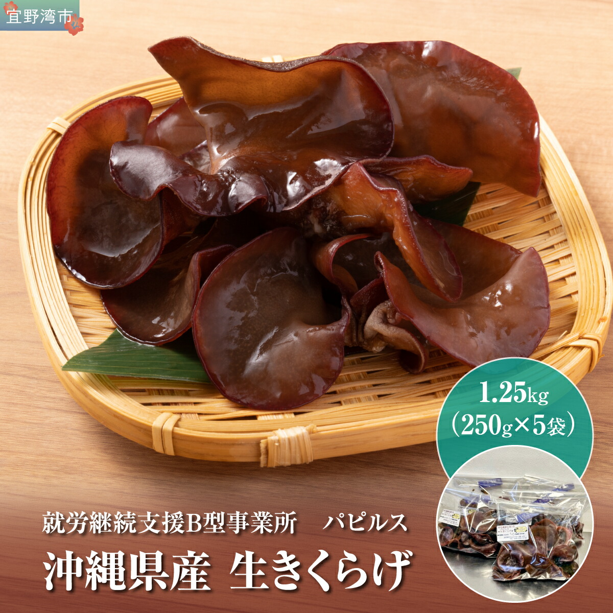 【ふるさと納税】沖縄県産 生きくらげ1.25kg (250g5袋) | 就労継続支援B型事業所パピルス | 国産 肉厚 ぷるぷる 産地直送 採れたて 新鮮 | 健康 美容 鉄分 食物繊維 ビタミンD グルメ | 沖縄県 宜野湾市 送料無料