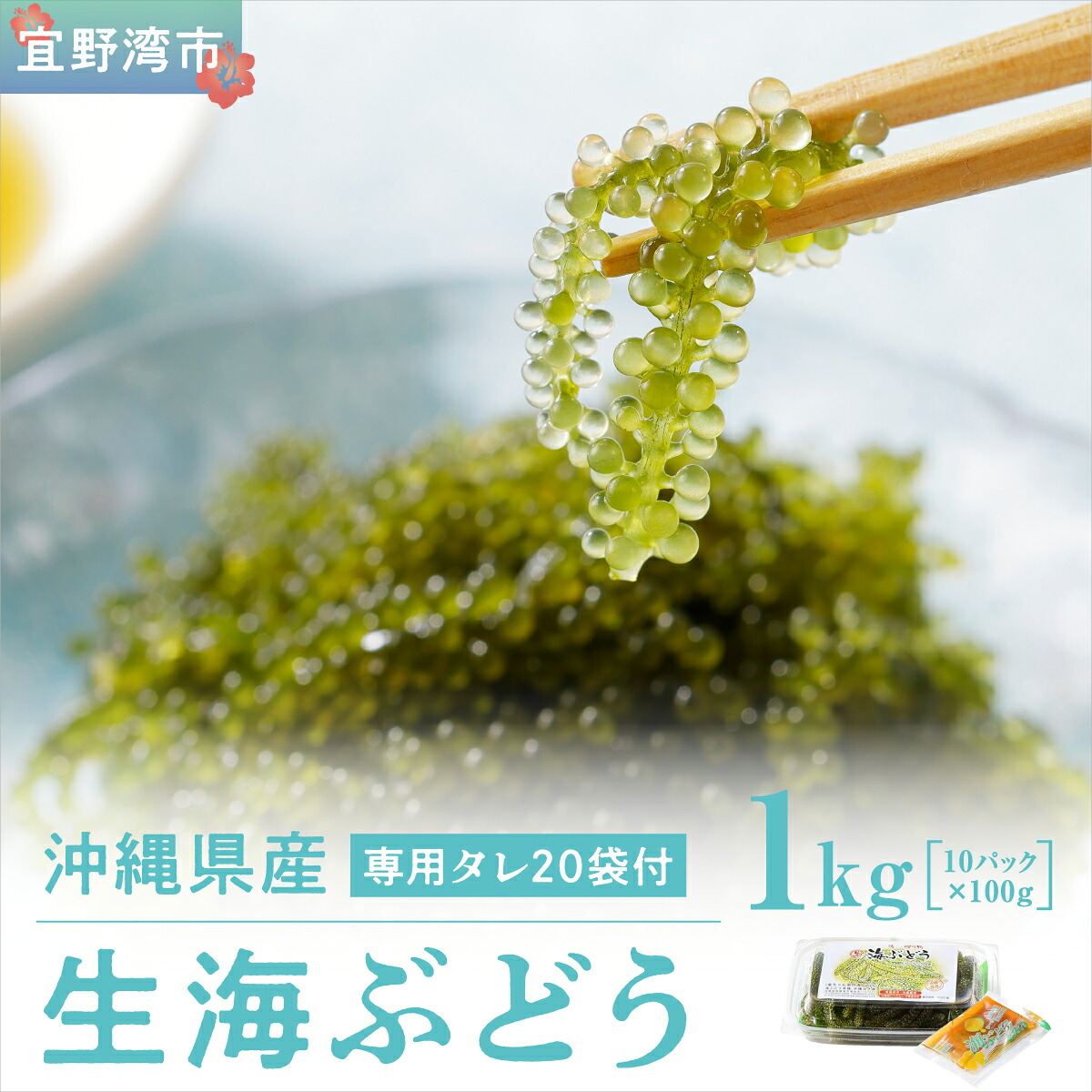【ふるさと納税】沖縄県産 生海ぶどう 100g&times;10パックセット｜沖縄県宜野湾市