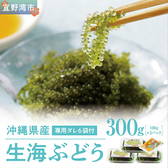 【ふるさと納税】沖縄県産 生海ぶどう 100g×3パックセット