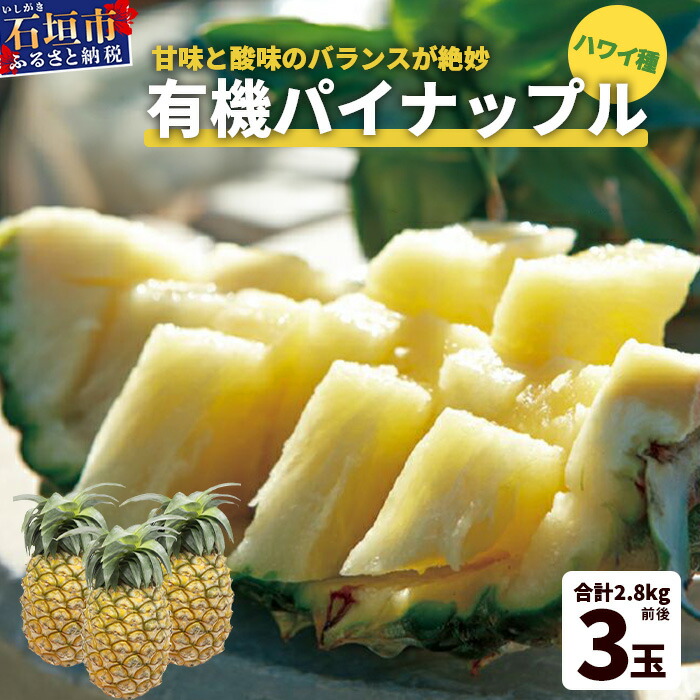 【ふるさと納税】【予約受付】石垣島産 有機パイナップル・ハワイ種 3玉（約2.8kg前後)〈常温〉《7月上旬～順次発送予定》｜パイナップル パインアップル 石垣島パイン フルーツ 果物 くだもの 南国フルーツ 国産パイン　E-39