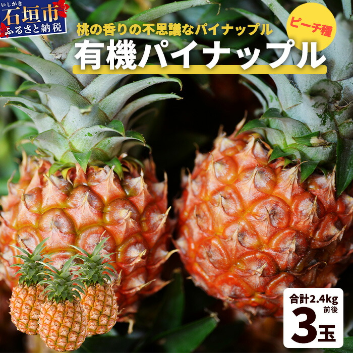 【ふるさと納税】【予約受付】石垣島産　有機パイナップル・ピーチ種 3玉（約2.4kg前後）〈常温〉《６月上旬～順次発送予定》｜パイナップル パインアップル 石垣島パイン フルーツ 果物 くだもの 南国フルーツ 国産パイン　E-40