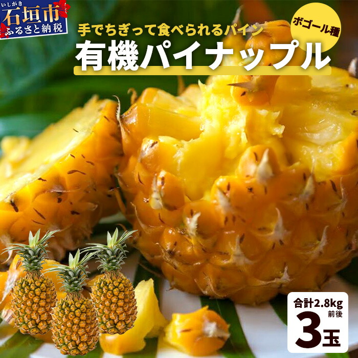 【ふるさと納税】【予約受付】石垣島産　有機パイナップル・ボゴール種 3玉（約2.8kg前後）〈常温〉《６月上旬～順次発送予定》｜パイナップル パインアップル 石垣島パイン フルーツ 果物 くだもの 南国フルーツ 国産パイン　E-41