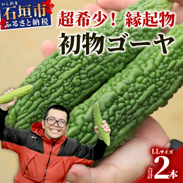 楽天市場】【ふるさと納税】希少!黒島さんの採れたてオクラ100 楽天市場】【ふるさと納税】希少!黒島さんの採れたてオクラ100
