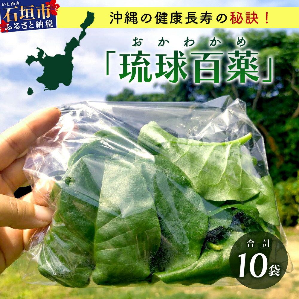 【ふるさと納税】沖縄の健康長寿の秘訣「琉球百薬（おかわかめ）」10袋！農薬を使わない栽培方法を続けるミネイさんの野菜｜沖縄 石垣島 石垣島産 野菜 農薬不使用 離島のいいもの 沖縄のいいもの石垣島 送料無料 OI-25