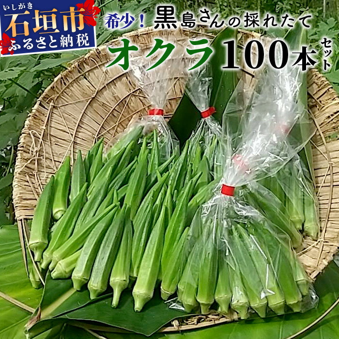 【ふるさと納税】希少！黒島さんの採れたてオクラ100本セット（特別栽培、栽培期間中農薬不使用）6月初旬～順次発送 沖縄県 石垣市 沖縄 石垣 石垣島 希少 おくら オクラ 野菜 採れたて フレッシュな野菜 夏野菜 冬野菜 南国 離島のいいもの 沖縄いいもの石垣島 OI-7