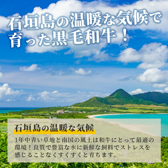 【ふるさと納税】石垣島産黒毛和牛生ハンバーグ150gｘ8個沖縄県石垣市石垣島黒毛和牛和牛ハンバーグMZ-1