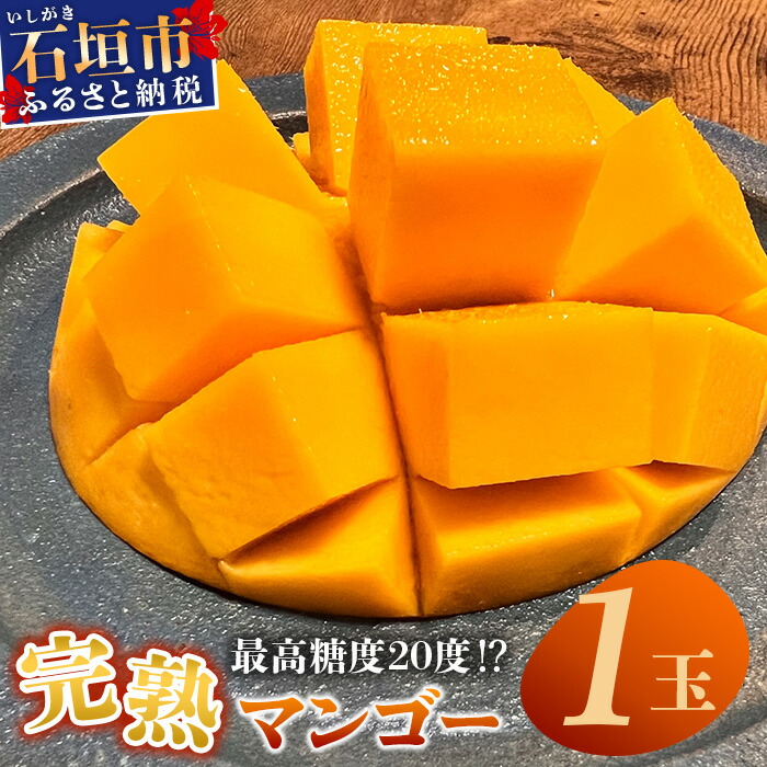 【ふるさと納税】《2025年6月下旬～7月下旬発送》【先行予約】最高糖度20度！？ 完熟！3Lサイズ 石垣島マンゴー 1玉入り約400g | 沖縄 石垣島 石垣 八重山 マンゴー 完熟マンゴー 期間限定 数量限定 TF-10-1