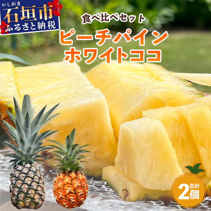 【ふるさと納税】《2025年5月～7月発送》最高糖度20度以上！？ 完熟の極 石垣島産ピーチパインとホワイトココの食べ比べセット [マツコの知らない世界で絶賛！] | 沖縄 石垣島 石垣 八重山 パイン ピーチパイン 期間限定 数量限定 TV テレビ 紹介 マツコ TF-21_R7