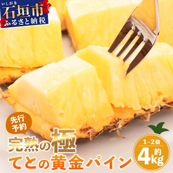 【ふるさと納税】《2025年5月中旬以降順次発送》香りに溺れる！？ 完熟の極 てとの黄金パイン大玉約4kg | 沖縄 石垣 ゴールデン 黄金 パイン パイナップル 完熟 大玉 セット フルーツ デザート  TF-25