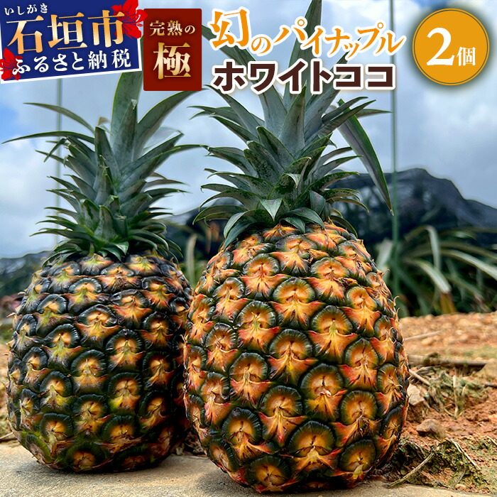 【ふるさと納税】《2025年5月以降順次発送》[先行予約] 最高糖度20度！？ 完熟の極 石垣島産幻のパイナップル ホワイトココ2個セット  [マツコの知らない世界で絶賛] | 沖縄 石垣島 石垣 八重山 パイン パイナップル 期間限定 数量限定 TV テレビ 紹介 マツコ TF-2_R7