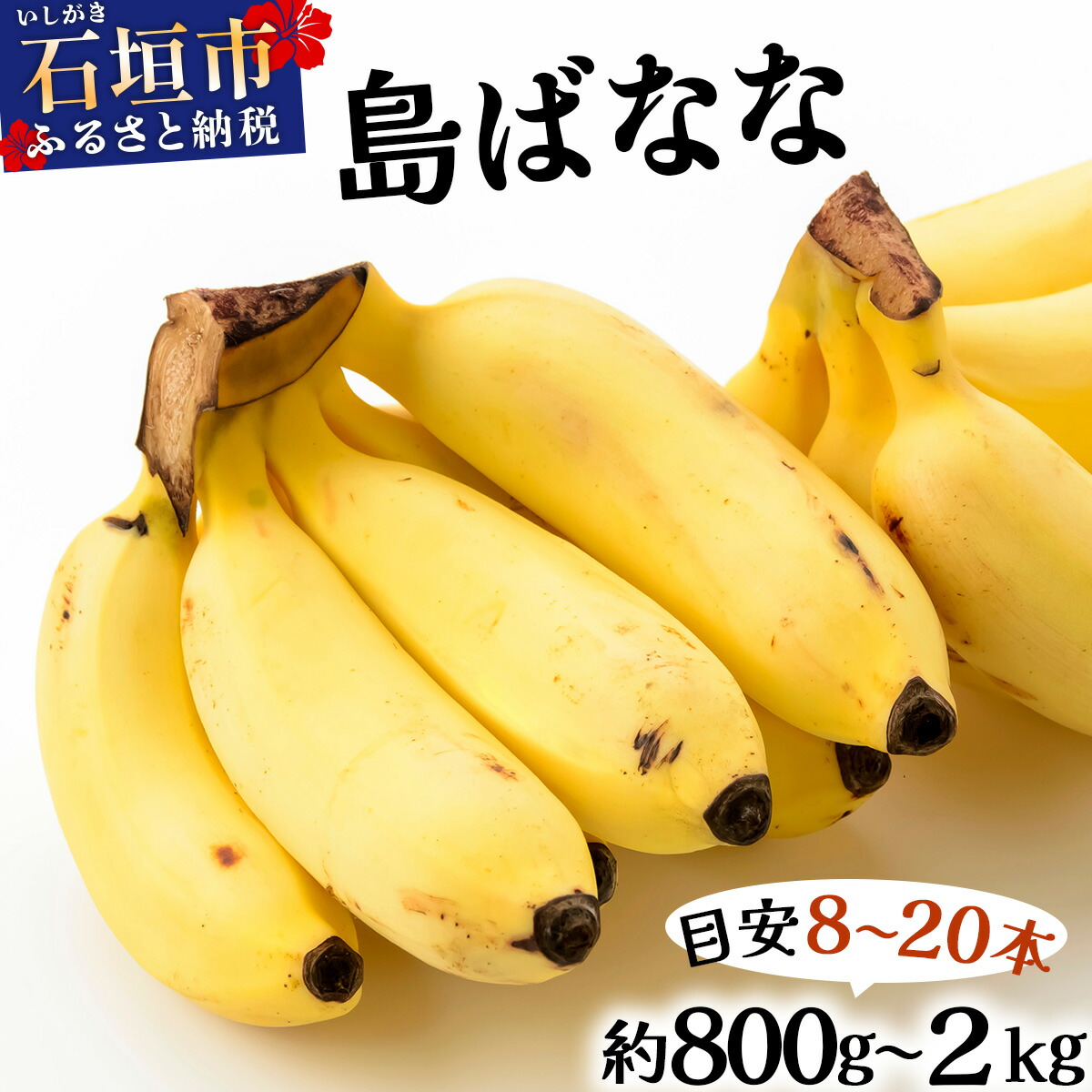 楽天市場】【フィリピン産】モンキーバナナ 6kg 枝付き 箱売り 送料