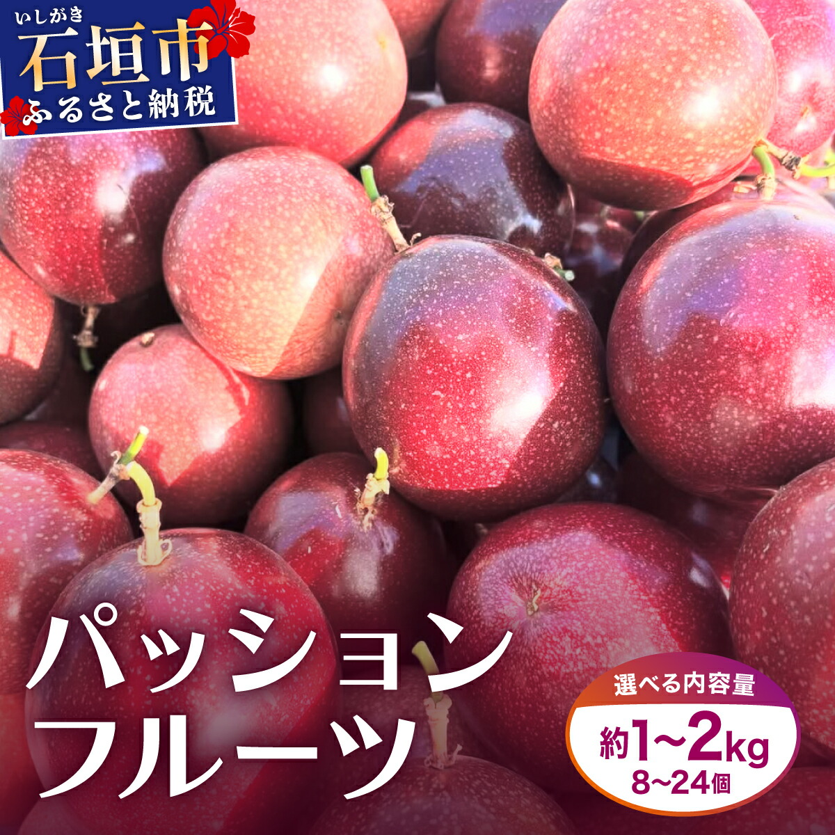 【ふるさと納税】《選べる配送月》希少な完熟パッションフルーツ 約1～2kg (8～24個) | フルーツ ふるさと納税 ふるさと 沖縄県 沖縄 石垣 石垣島 石垣市 人気