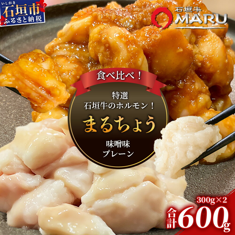 【ふるさと納税】 希少な特選石垣牛のホルモンをご家庭で!!マルチョウ300g×2パック 秘伝の味噌味とプレーンの食べ比べセット | 沖縄 石垣 和牛 石垣牛 希少 特選 肉 味噌 みそ 味付 ホルモン マルチョウ 冷凍 小分け | IM-18|沖縄県石垣市