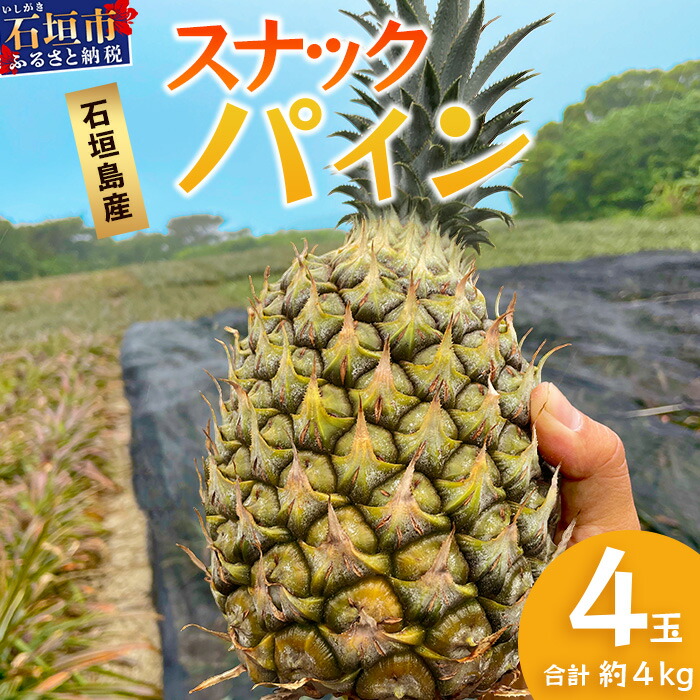 【ふるさと納税】【先行予約】《2025年5月上旬頃より順次発送》石垣島産 スナックパイン (4玉 約4kg) ｜産地直送 沖縄 石垣 パイナップル パイン スナック  フルーツ トロピカル 南国 TP-8-1