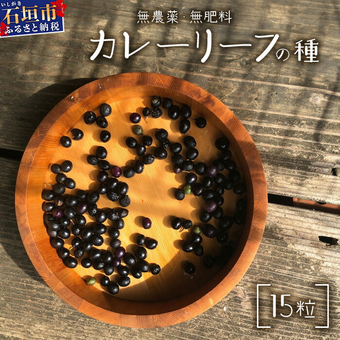 ふるさと納税で行く石垣島旅する