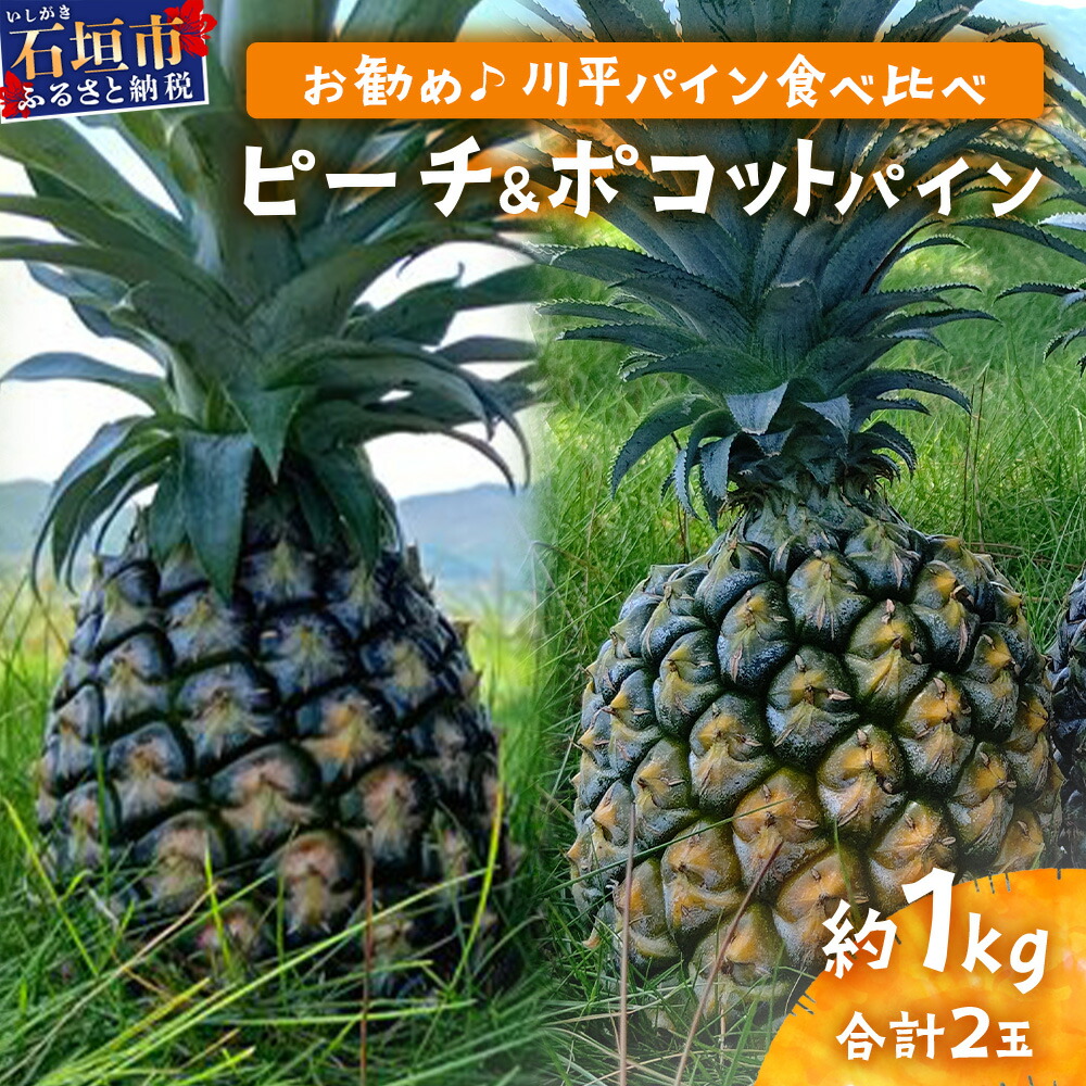 【ふるさと納税】【予約受付】ピーチ＆ポコットパイン食べ比べ 1ｋｇ（計２玉）お勧め♪川平パイン《2025年5月～7月頃順次発送》KN-5