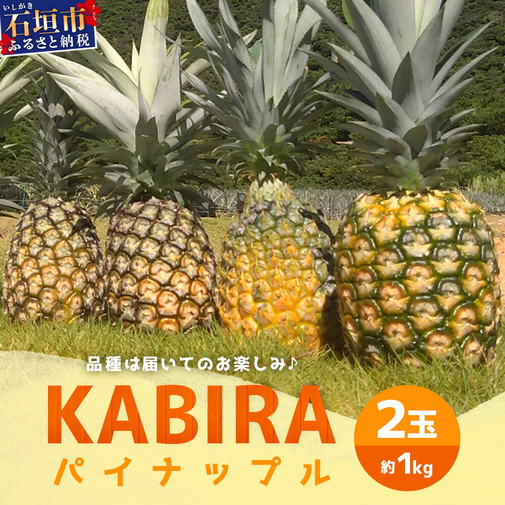 【ふるさと納税】【予約受付】【KABIRAパイナップル2玉1kg以上】♪品種は届いてのお楽しみ♪《2025年5月以降順次発送》MF-1