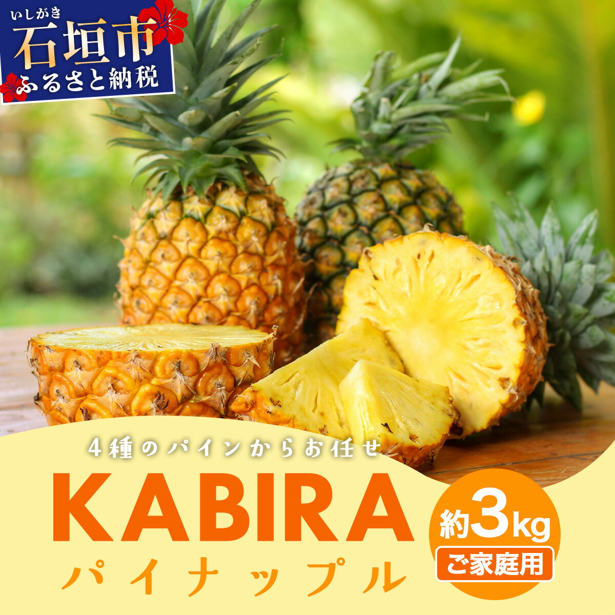【ふるさと納税】KABIRAパイナップル訳ありご家庭用 約3kg 4種のパインからお任せ ＜2026年6月から発送＞ | MF-002