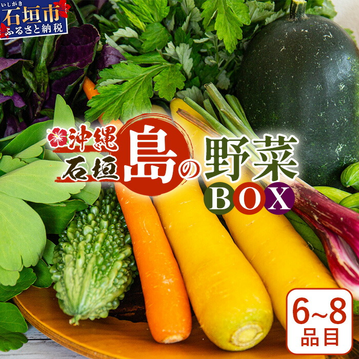 【ふるさと納税】石垣島産 野菜 BOX 1箱 ≪定番・旬の野菜６~８種類≫ 野菜パワーをあなたに！！｜野菜セット おまかせセット 旬 季節のお野菜 旬の野菜セット 詰め合わせ 島野菜 沖縄県 石垣市 石垣島 石垣 CK-1