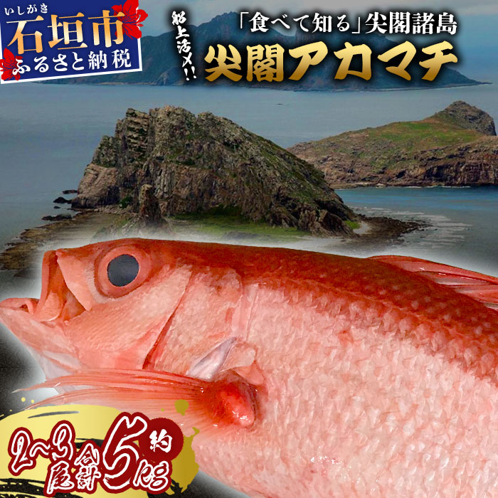 尖閣諸島が描かれた琉球切手を含む3種×20枚シート 海洋シリーズ