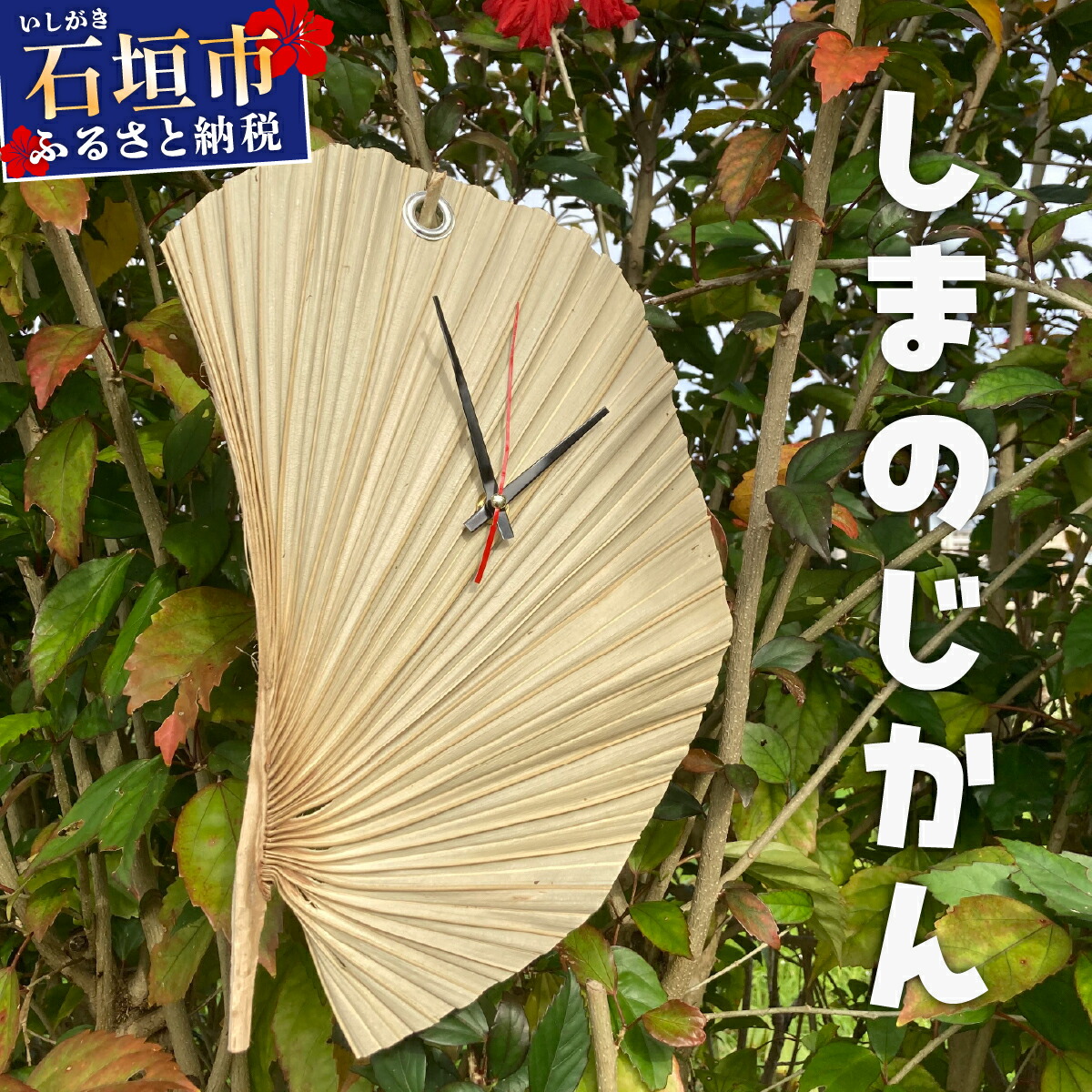 ふるさと納税で行く石垣島旅する