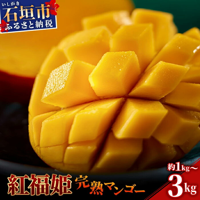 【ふるさと納税】先行予約【数量限定】内容量を選べる「紅福姫ブランド」石垣島のマンゴー 約1～3kg【沖縄県 石垣市 産地直送 旬 石垣島産 マンゴー 完熟マンゴー アーウィン種マンゴー】