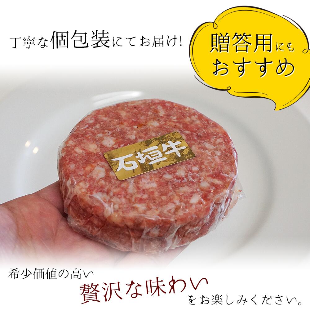 楽天市場 ふるさと納税 石垣牛100 ハンバーグ 計800g 100g 8個入 国産 沖縄県石垣市 黒毛和牛 ブランド牛 個包装 冷凍 送料無料 M 5 沖縄県石垣市