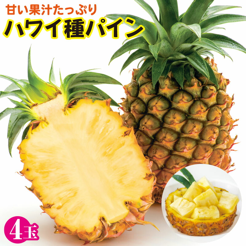 【ふるさと納税】ハワイ種 パイン 4玉 石垣島産 パイナップル |南国フルーツ トロピカル フルーツ 果物 期間限定 冷蔵 生パイン デザート 沖縄県石垣市 ZH-16