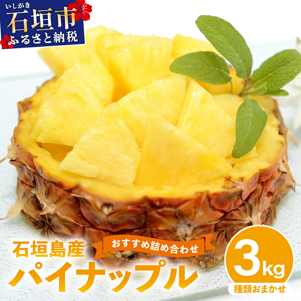 【ふるさと納税】石垣島産 パイナップル 約3kg 2～6個 《2026年4月下旬発送》 | ふるさと納税 パイナップル パイン フルーツ 果物 果実 南国フルーツ 沖縄県石垣市 沖縄県 石垣市 石垣島 産地直送 ふるさと 人気 送料無料 コッパリ
