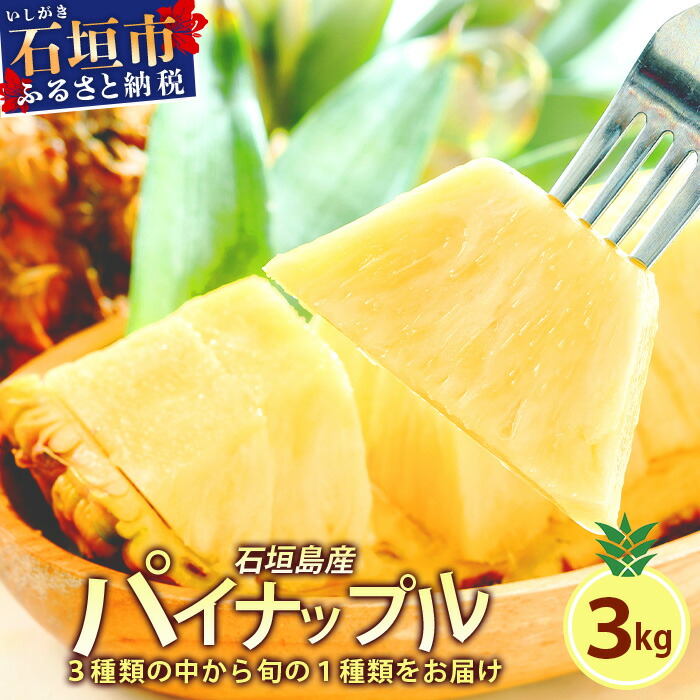 【ふるさと納税】【先行予約】 石垣島産 パイナップル 約3kg 2～6個 《2025年5月から順次発送いたします》 | ふるさと納税 パイナップル パイン フルーツ 果物 果実 南国フルーツ 沖縄県石垣市 沖縄県 石垣市 石垣島 産地直送 ふるさと 人気 送料無料  KP-14