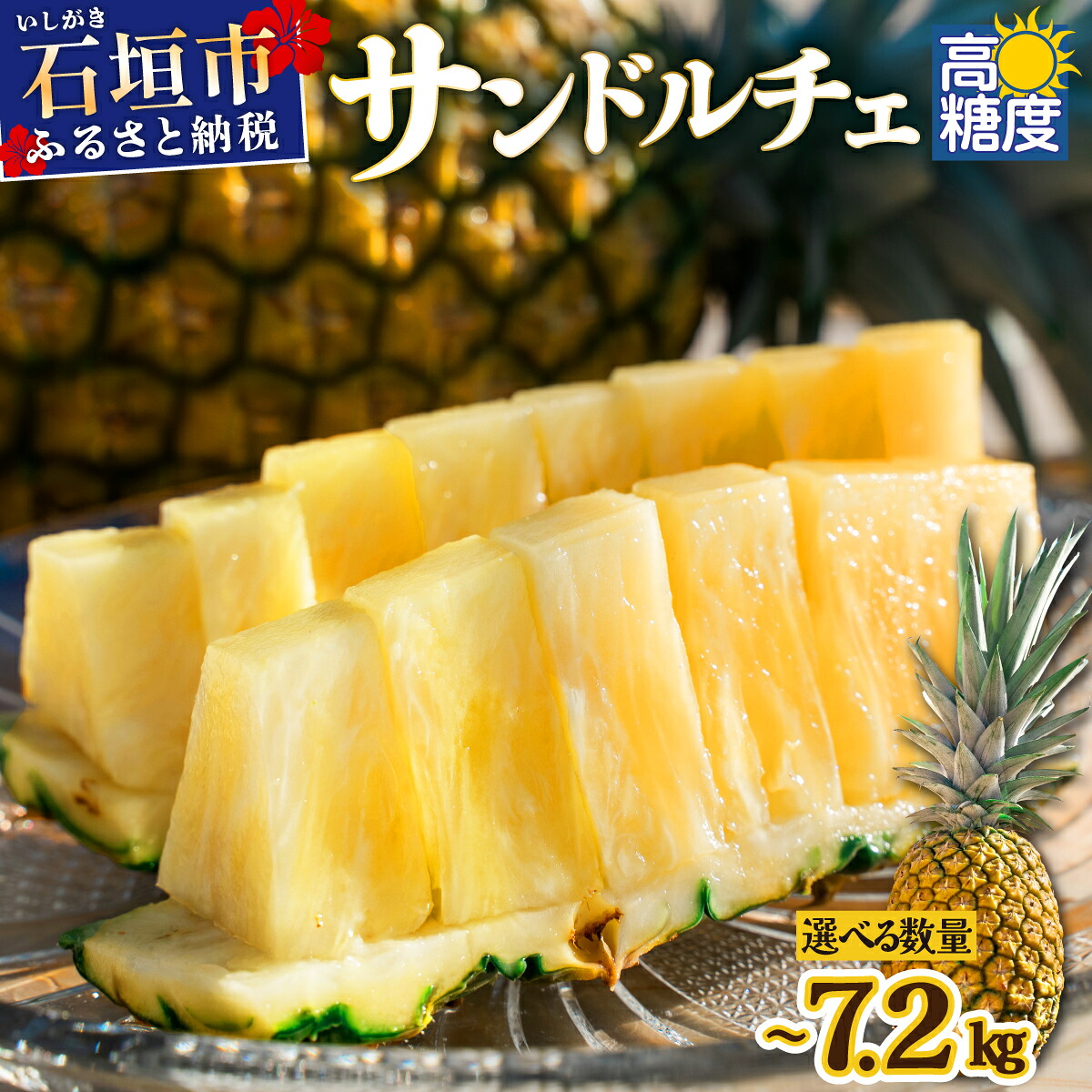 【ふるさと納税】＜先行予約＞石垣島産 サンドルチェ ～7.2kg 【通常・訳あり】＜2026年7月中旬以降発送＞ パイン 期間限定 送料無料 パイナップル 沖縄県 石垣市