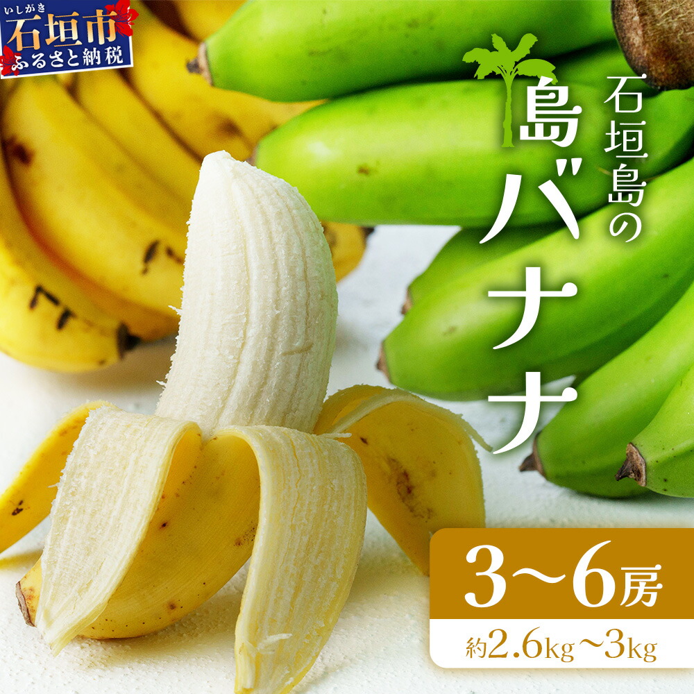 【ふるさと納税】＜先行予約＞石垣島の島バナナ、3～6房（約2,6～3kg前後入り）《4月中旬～順次発送》爽やか酸味のスッキリ系バナナ、少し冷やしてもイイんです！　SI-34