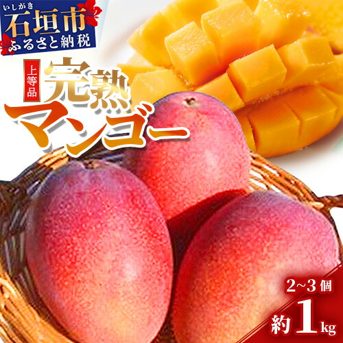 【ふるさと納税】＜予約受付＞完熟アップルマンゴー 2~3個 約1kg ＜2026年7月中旬以降発送＞ | 沖縄県 石垣市 完熟 マンゴー アップルマンゴー フルーツ 南国フルーツ 石垣島産 A級品 果物 期間限定 送料無料 SI-31-1