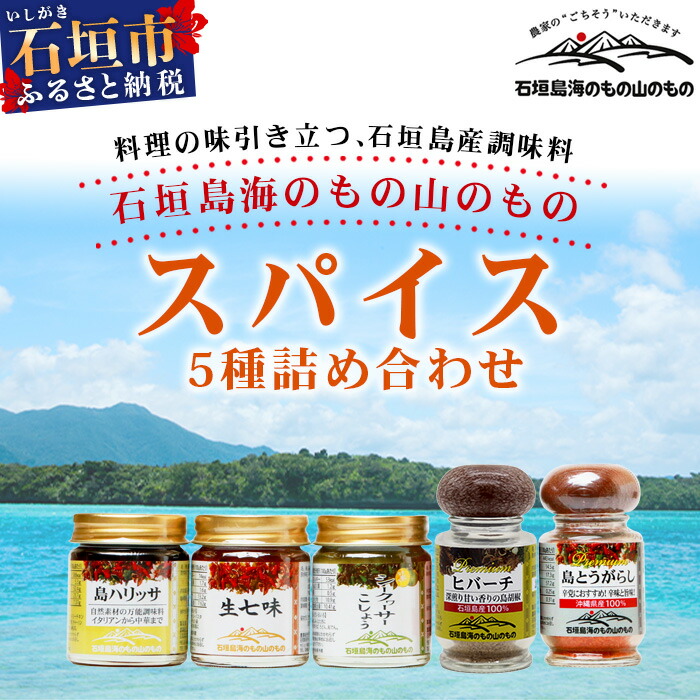 【ふるさと納税】石垣島海のもの山のものスパイス&オリジナル詰め合わせセットA  香辛料 調味料 沖縄県石垣市 常温 送料無料 UY-1
