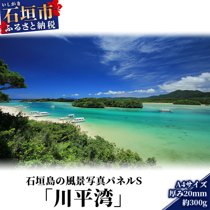 著名な写真家の作品パネル「Look at me 」　沖縄県石垣島の海中にて 著名な写真家の作品パネル「Look at me 」 沖縄県石垣島の海中に