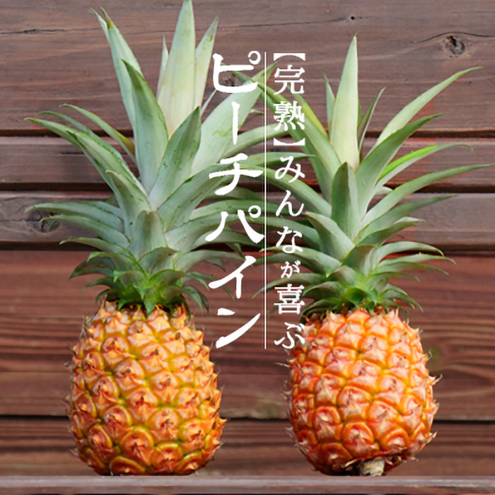 【ふるさと納税】【先行受付】《2026年5月～7月順次発送予定》パイナップル (ピーチパイン) 3玉入 約2kg (1.7~2.2kg) 石垣島 農家直送 パインアップル 沖縄県石垣市 送料無料 TK-10