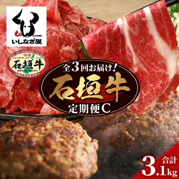 【ふるさと納税】【全3回 定期便C】 石垣牛 切り落としスライス・ハンバーグ・肩ロースすきしゃぶ 計3.1kg (いしなぎ屋) | 沖縄県 石垣島 石垣牛 国産 和牛 牛肉 牛 和牛 しゃぶしゃぶ すき焼き ステーキ 特選肉 送料無料 AB-031