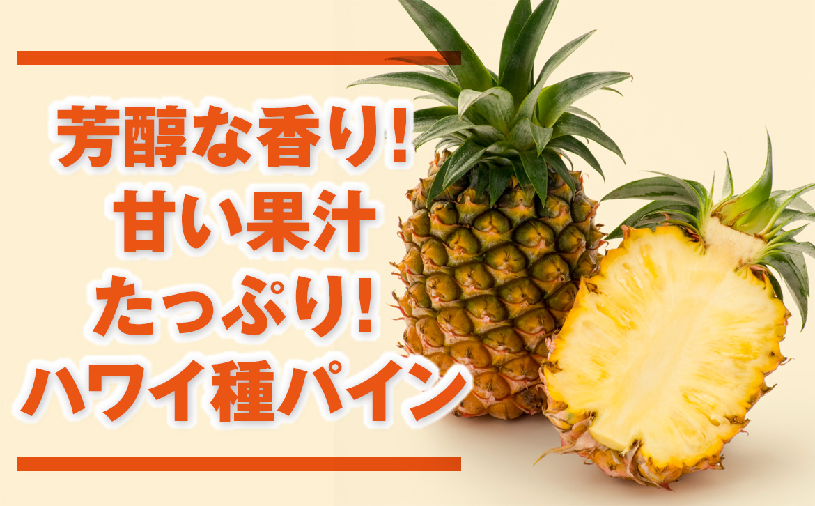 ふるさと納税 ハワイ州実パイナップル 滴 南国フルーツ 沖縄県石垣マーケット 6太陰機会から差したてる心積り Zh 16 甘さも酸っぱさも両側阿漕ぎたい方におすすめのハワイ種パイナップルです Petalfresh Com