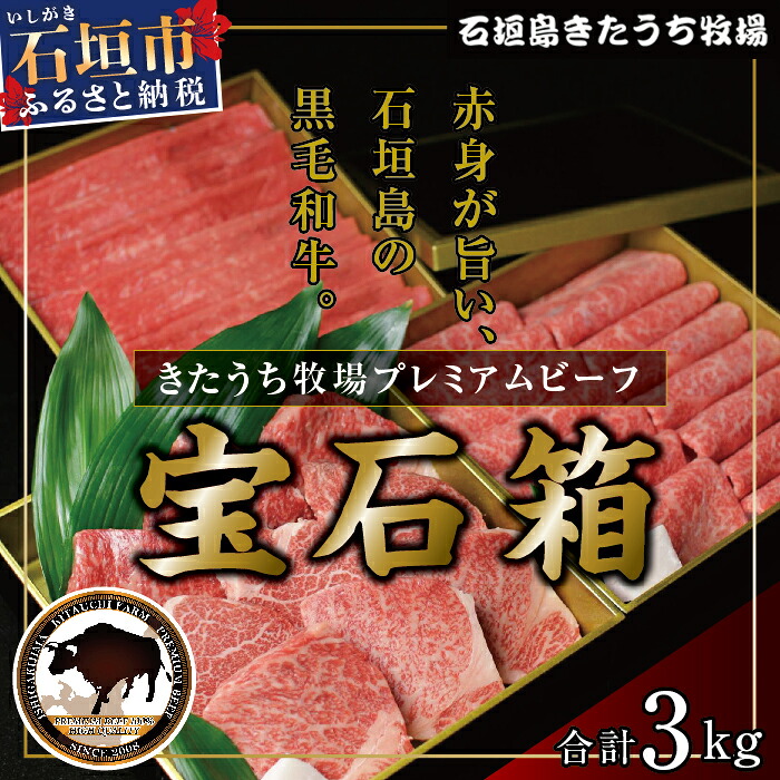 【ふるさと納税】きたうち牧場 プレミアムビーフ宝石箱AM-1｜沖縄県石垣市