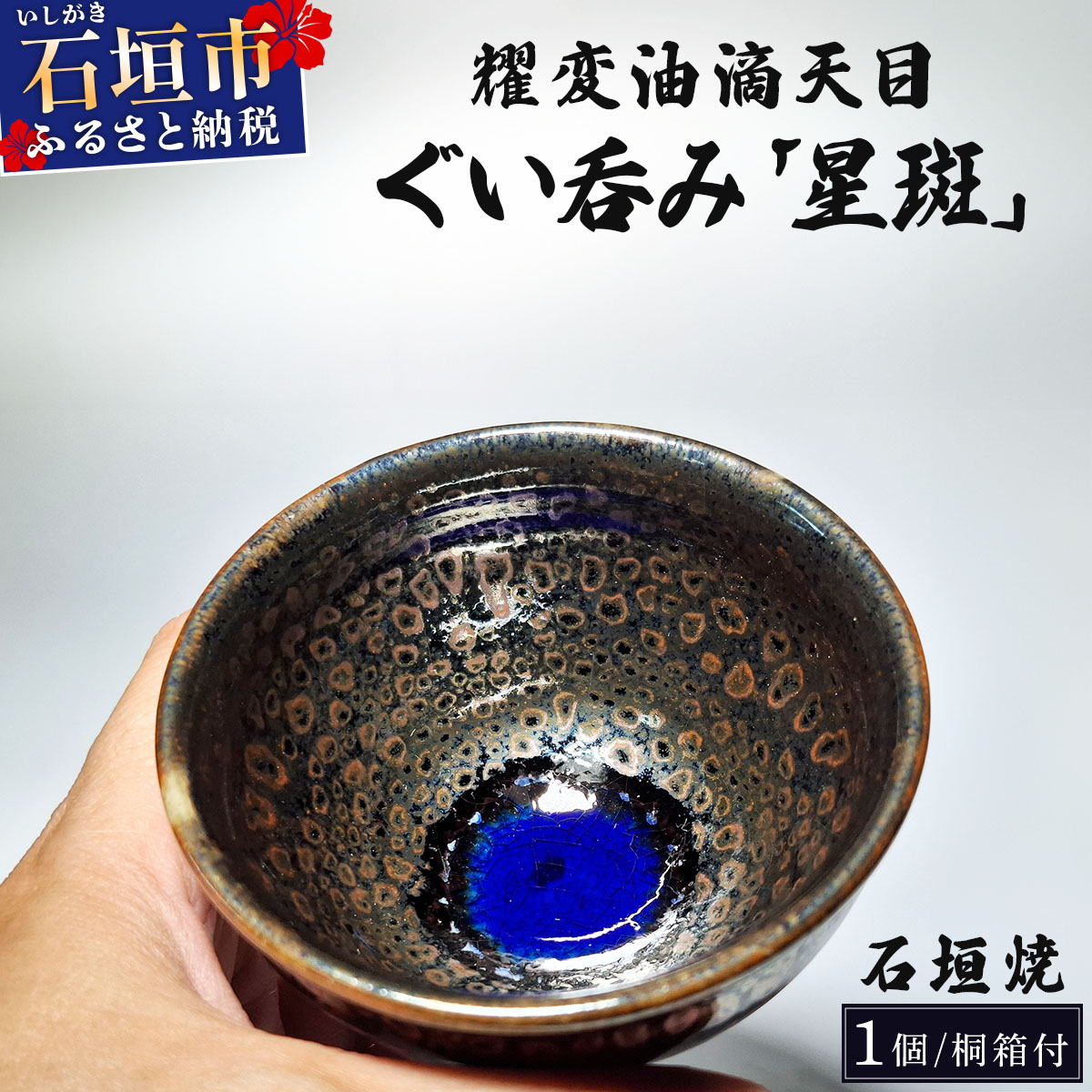 ふるさと納税で行く石垣島旅する