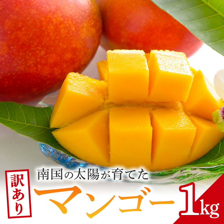 【ふるさと納税】【 先行予約 2025年 発送 】訳ありマンゴー 1kg 沖縄県産 マンゴー 訳あり 1キロ 訳アリ 国産 完熟マンゴー 果物 南国 くだもの フルーツ 完熟 夏 旬 特産品 沖縄 取り寄せ 産地直送 農家直送 甘い 濃厚 糸満市