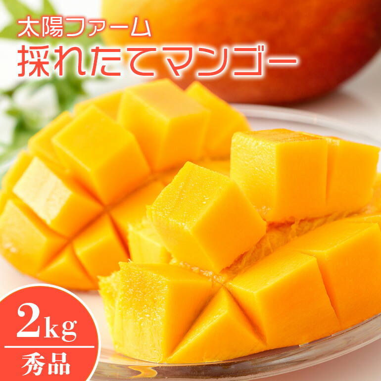 【ふるさと納税】【 先行予約 2026年 発送 】 太陽ファームの採れたて マンゴー 2kg ( 秀品 ) 沖縄県産 アップルマンゴー アーウィンマンゴー 2キロ 国産 完熟マンゴー 果物 くだもの フルーツ 完熟 夏 旬 沖縄 お取り寄せ 産地直送 農家直送 甘い 濃厚 糸満市 送料無料