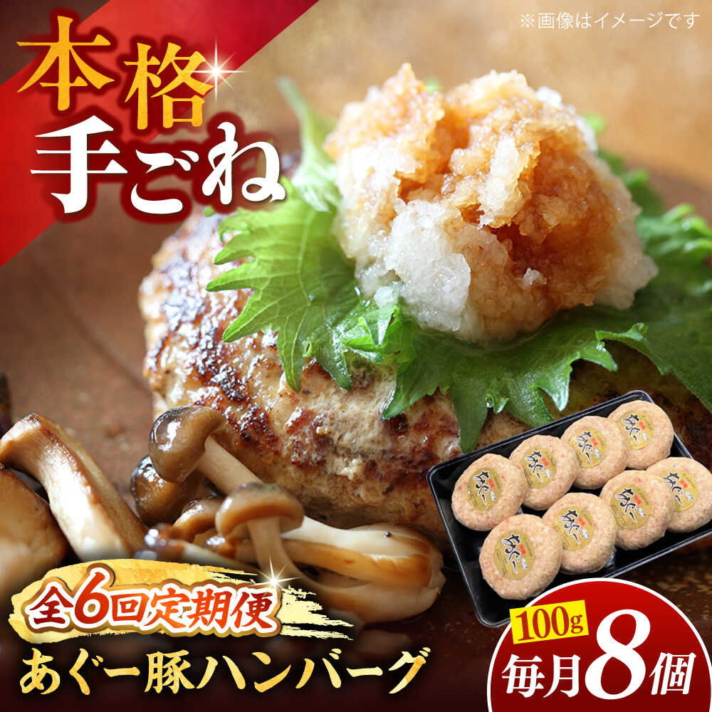 【ふるさと納税】【全6回定期便】沖縄県産あぐー豚ハンバーグセット 800g (100g×8個) 豚 ハンバーグ 冷凍 ギフト お取り寄せ 沖縄市 / お肉屋本店[BCAZ010]